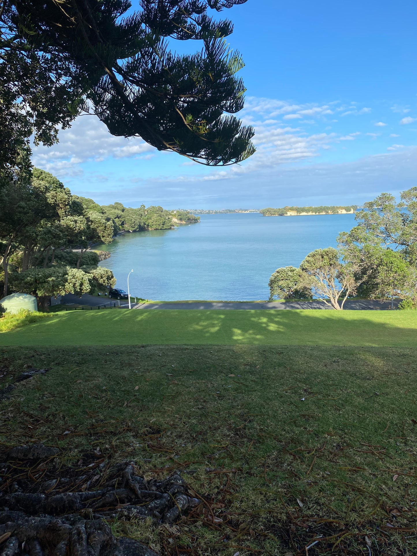 Beginners Polymer Clay Workshop